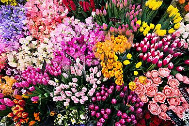 Epic Games展示次世代图形虚幻5.2技术演示